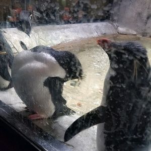 Meet your Posher, Michaela